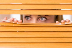 blinds