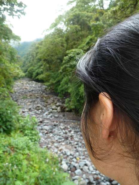 Viewing a trail